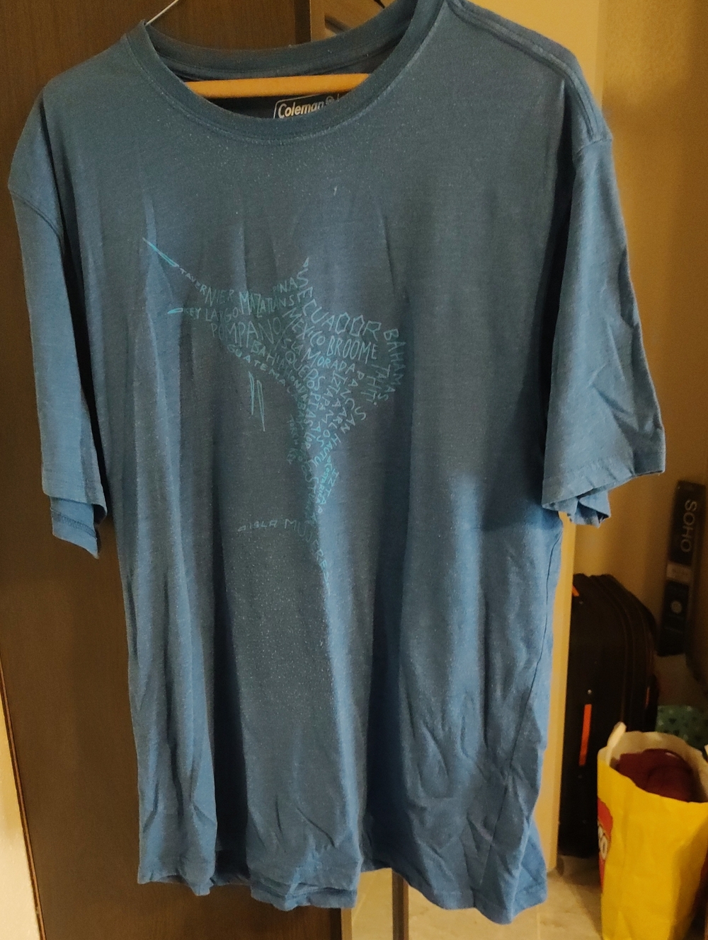 Coleman Teal Blue Short-Sleeve Men's Tee with Subtle Graphic